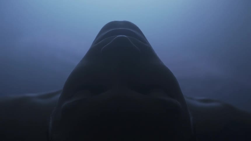 Person leans back so that the top half of their face is in shadow and their nose mouth and shoulders are highlighted by blue light