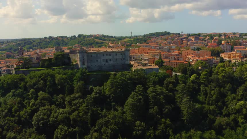 An aerial view of buildings in a city with a forest in front