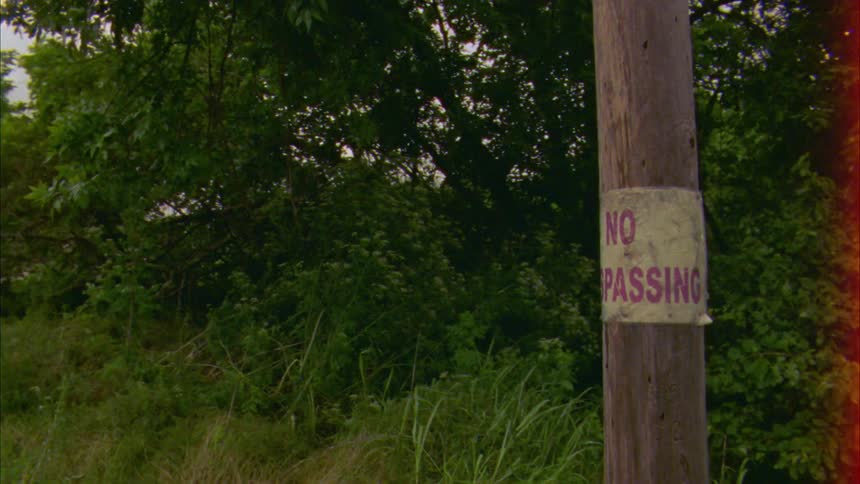 A sign attached to a utility pole beside a road during the day
