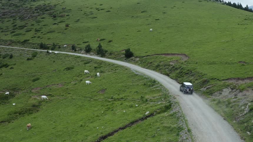 A vehicle driving on a road on a hill with cattle with the sky and clouds in the background