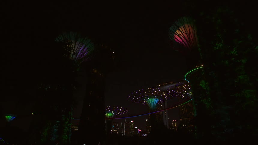 Bridge built around tree houses lighting up at night