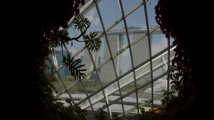 Plants inside of a building in front of a window partially block the view of tall buildings outside