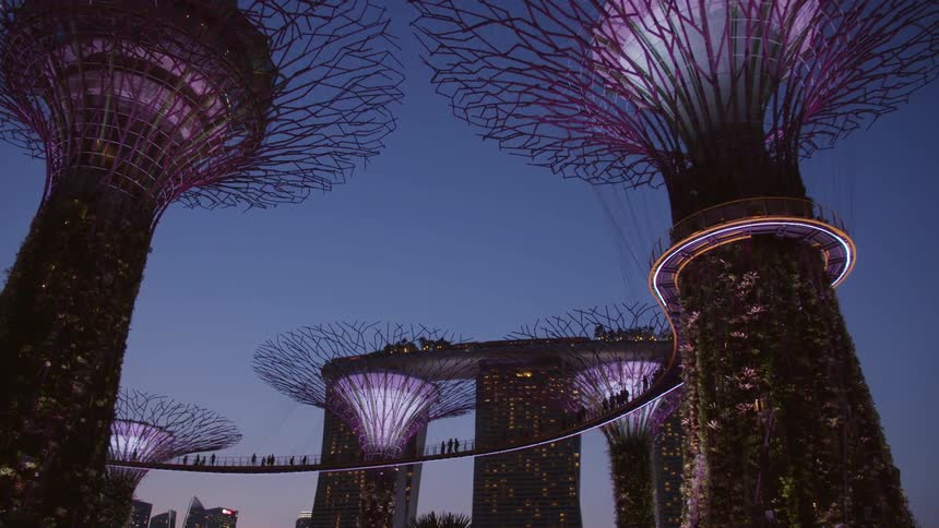 People stand in groups on a pedestrian bridge that wraps around a display of dragon trees lit up with purple lights near a city