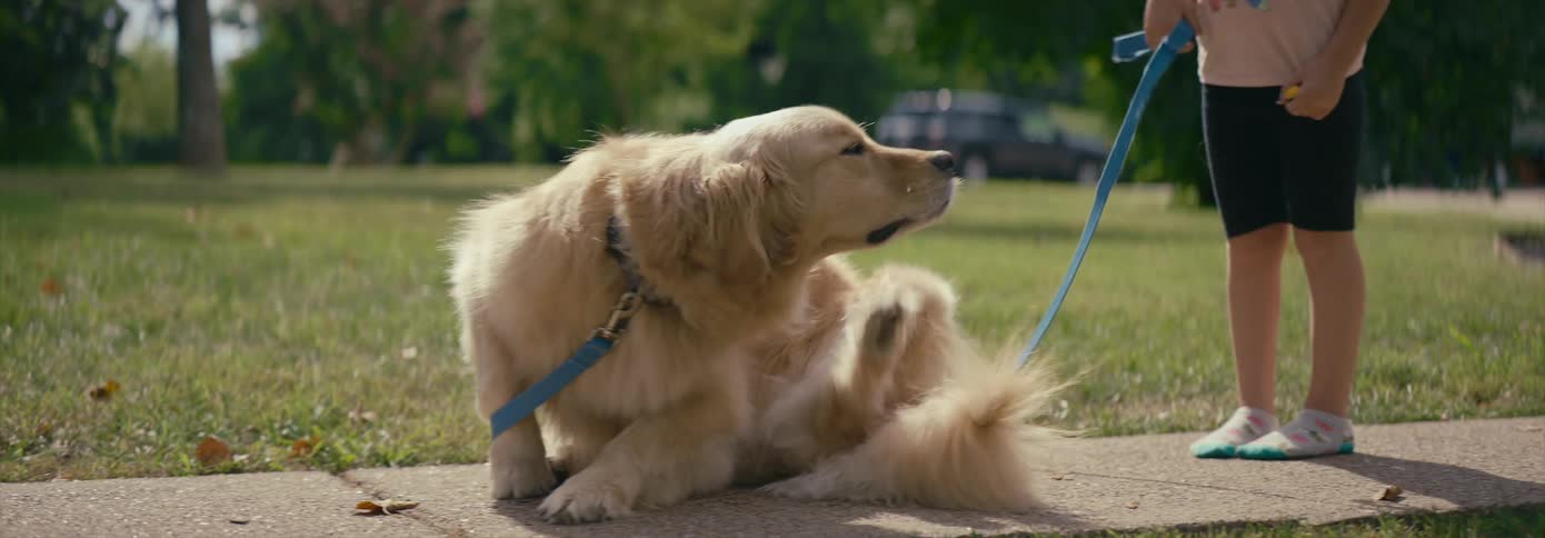 A child standing on the sidewalk holds the leash of a dog as it scratches its chin with its hind leg