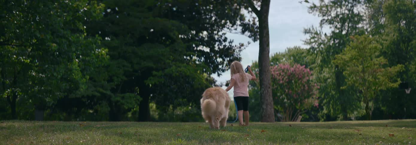 Young girl walks in the park with a dog on a leash then begins to run