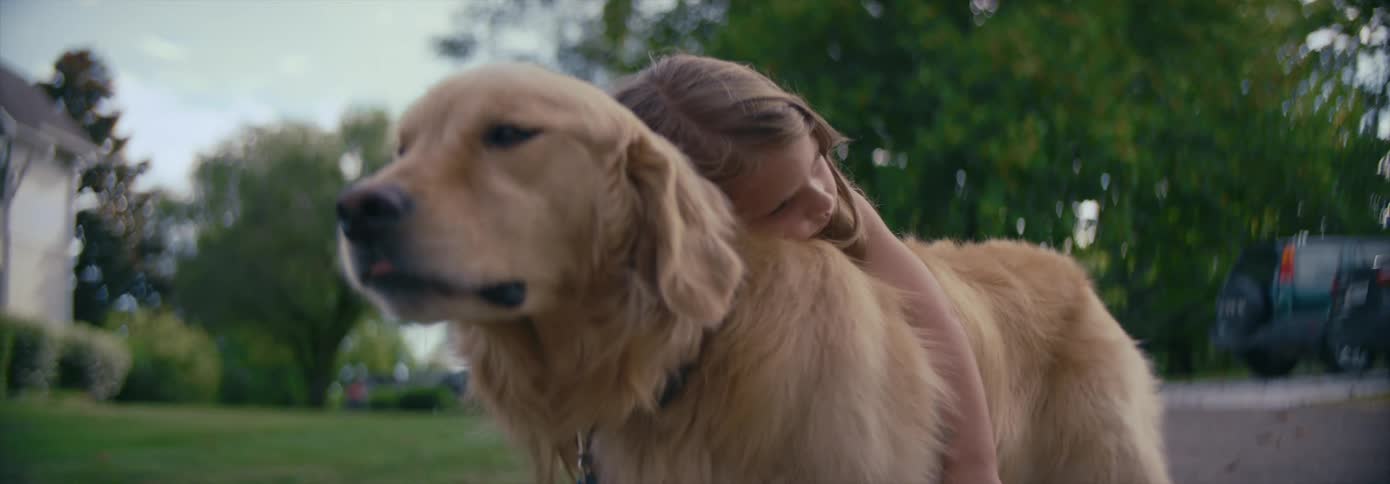 A young girl leans on a golden retriever who supports her as they stand in a street in front of some houses