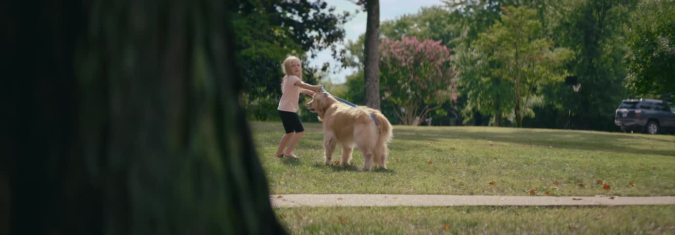 A girl walking a dog on a leash with trees the sky and clouds in the background