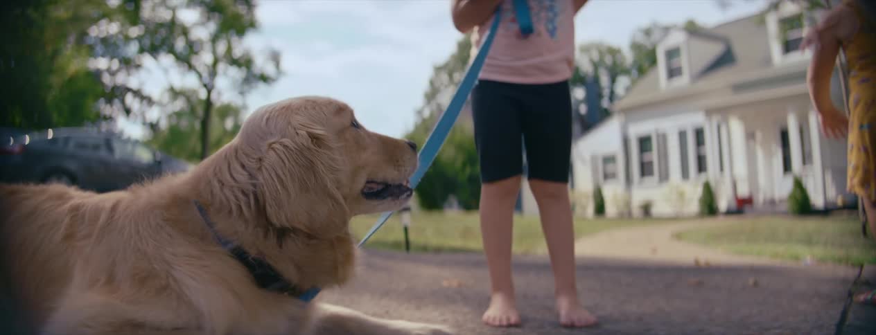 A young girl is giving her dog a treat as she has it on the leash in the neighborhood with a friend