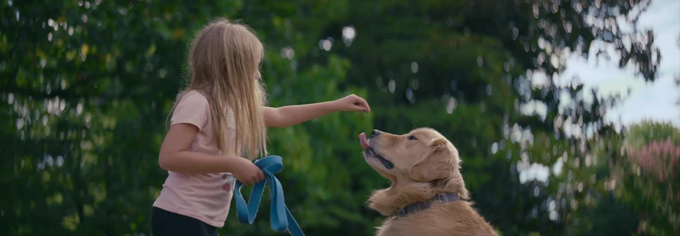 A girl playful feeds a dog on a leash outdoors during the day
