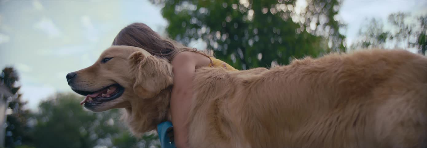 A young girl hugs a dog