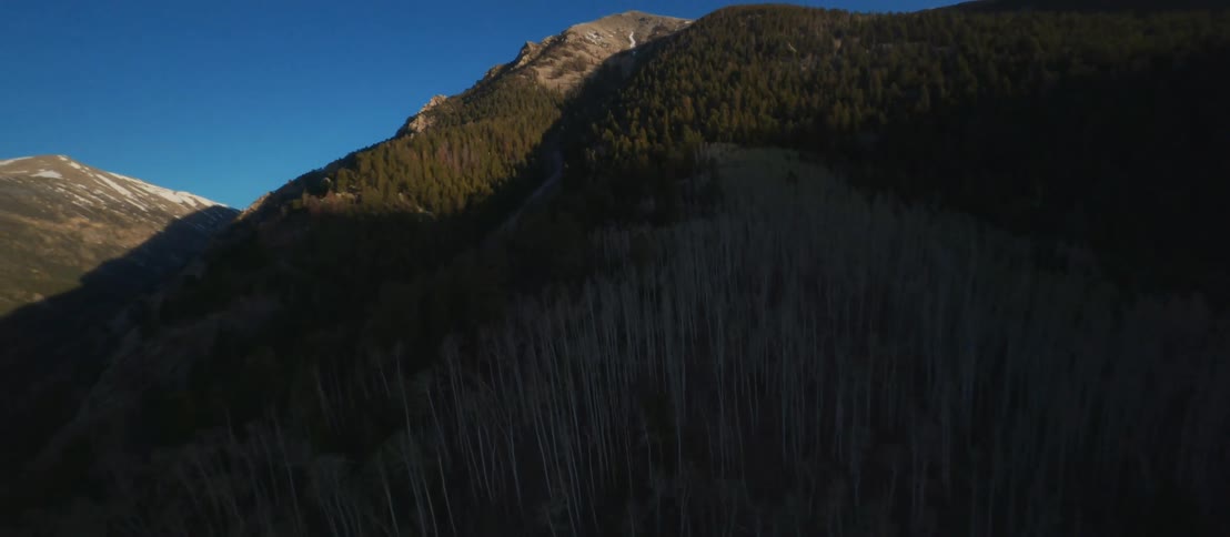 An aerial view of trees in mountains on a winter day