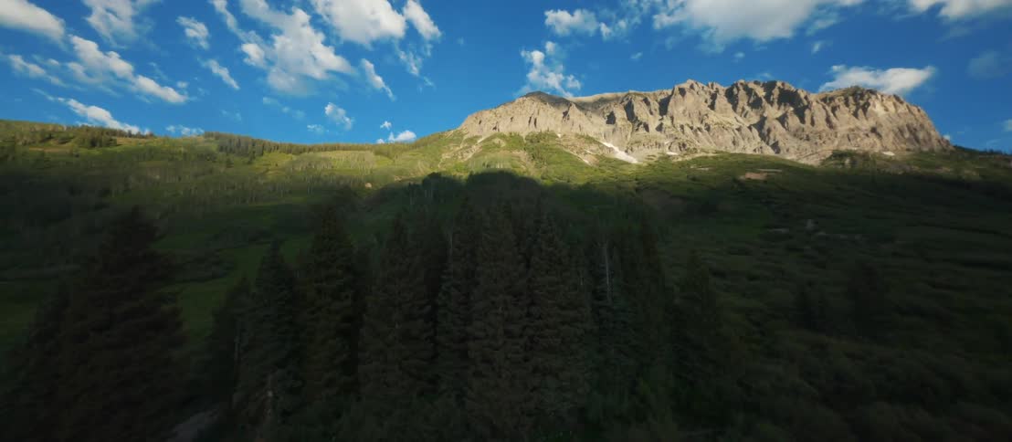 An aerial view of trees and green foliage surrounded by mountains in nature