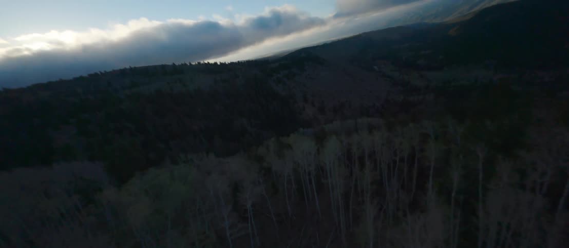An aerial view of a mountain forest in the winter