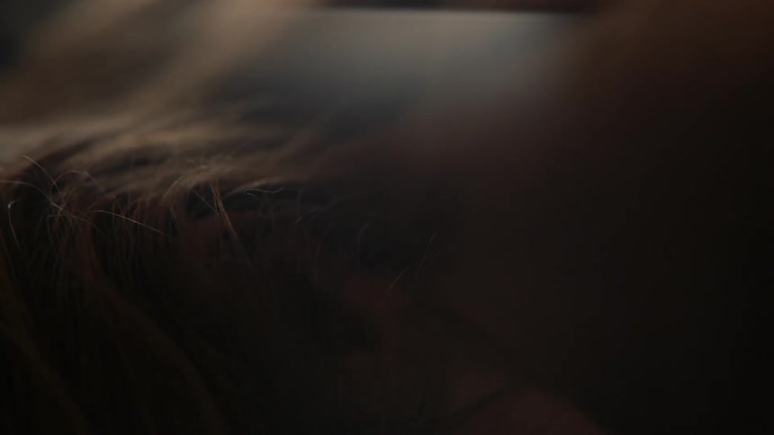 A close up of strands of brown hair