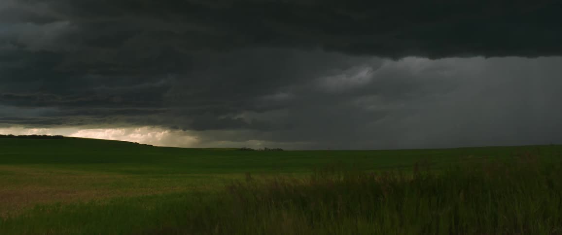 Grass stalks wave in wind in field stretching to horizon under dark storm clouds