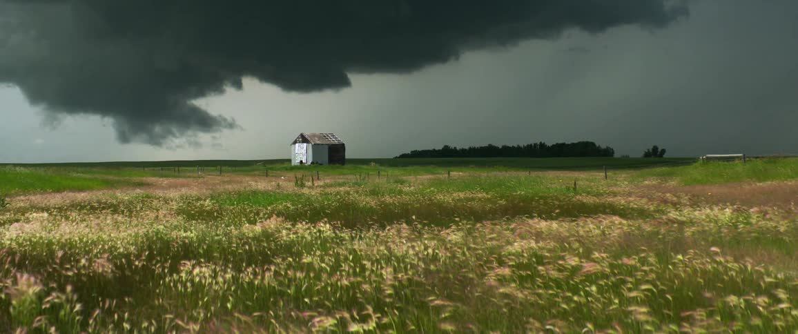 A shack in a field of waving grass under a sky filled with dark clouds