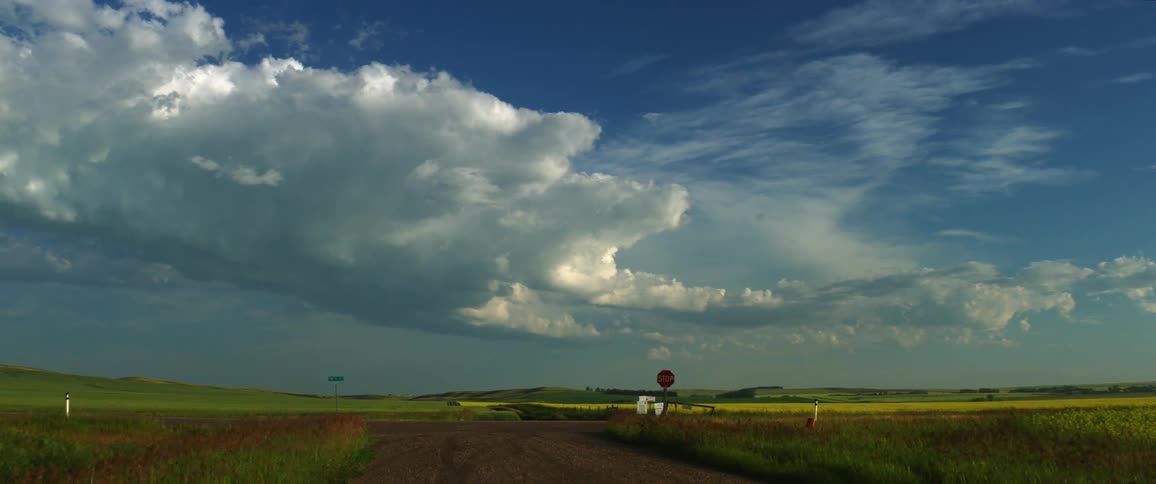 A stop sign sits at the end of a dirt road in the countryside