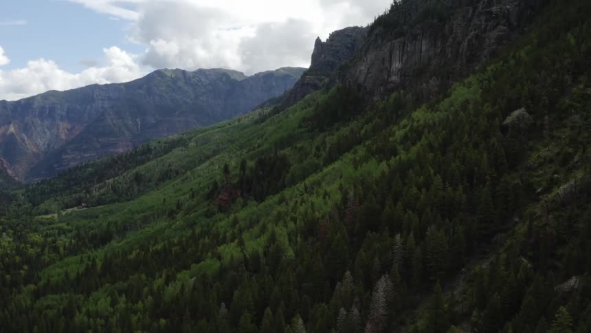 An aerial view of a forest with rocky mountains on a cloudy day