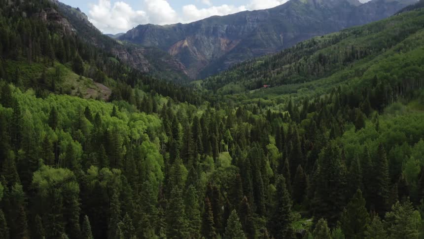 A green forest in the valley of mountains with clouds in the blue sky