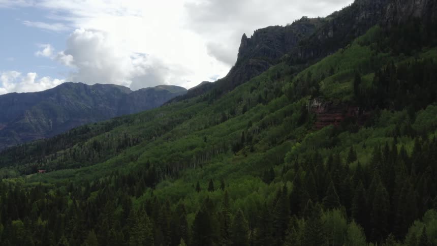 A mountain slope covered in forest and vegetation on a sunny day