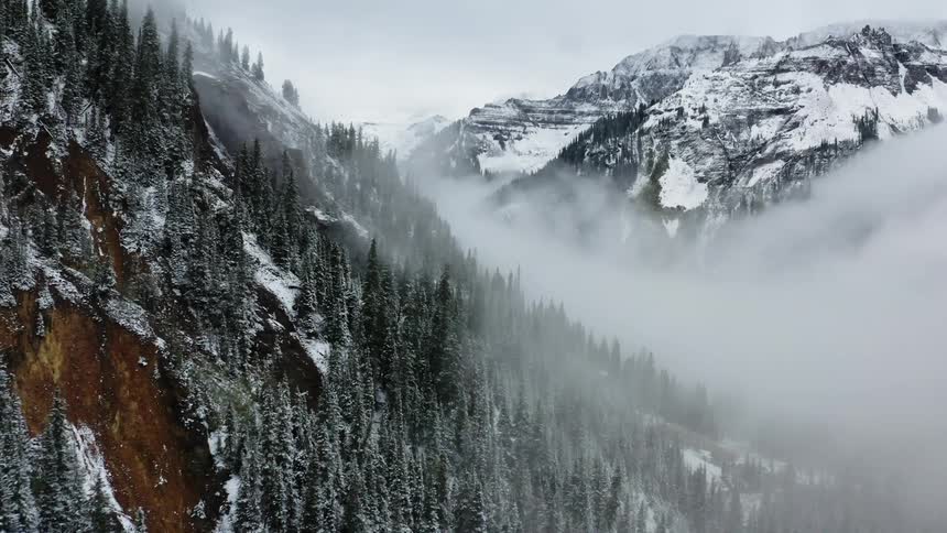Aerial view of mist over the snow covered pine forests on the mountains