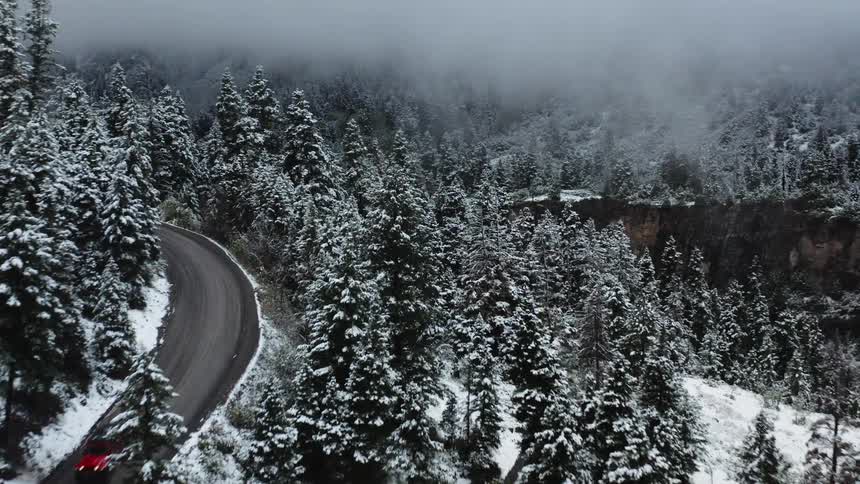 Fog obscures portion of snow covered forest divided by ravine as vehicle drives along snow free curving road