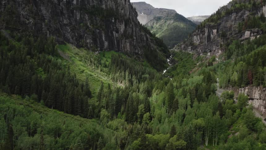 Aerial view of a forest and mountains are displayed