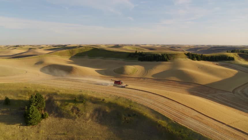 Slow push toward a combine harvester working in beautiful rolling hills of golden wheat