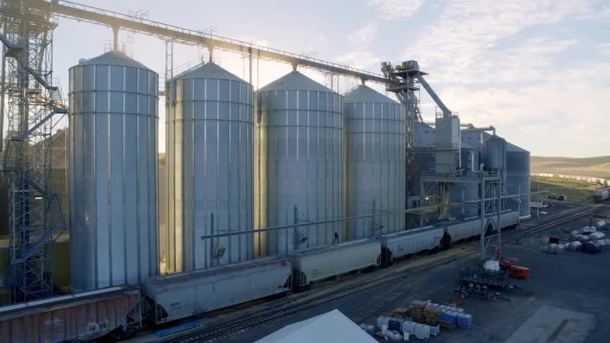 Bright morning sun peaks through the silos of a grain storage facility loading rail cars with wheat