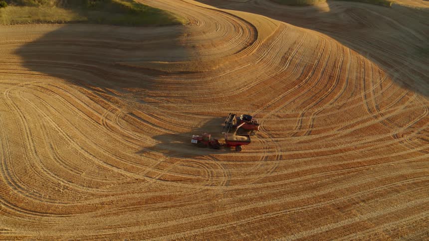 Wide aerial overview of a combine transferring harvested wheat to a grain cart