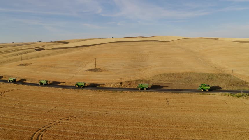 A convoy of combine harvesters and other farm equipment rolling down a rural road between crop fields