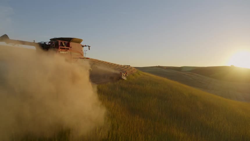 The sun illuminates a trail of grain dust as a combine harvests wheat along beautiful rolling hills