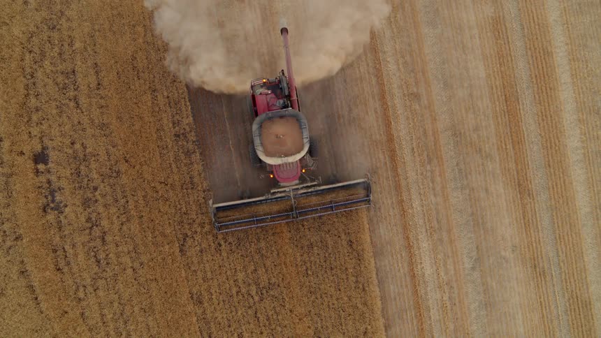 A harvester machine is seen from above as it works along a crop field