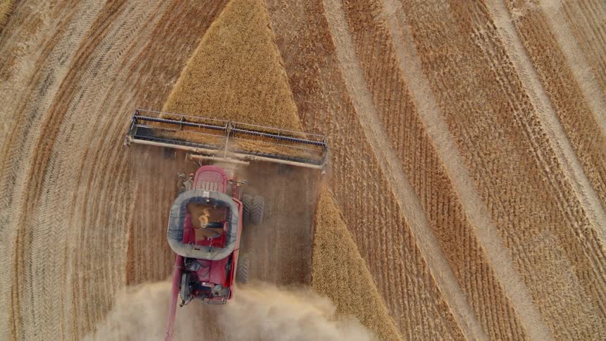 Birds eye view of a combine harvesting a triangle of wheat at the end of a run