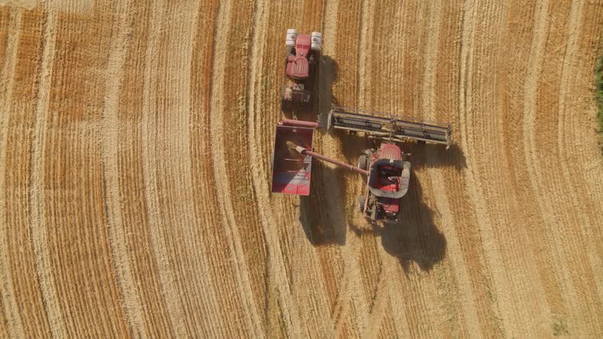 Ascending over a golden wheat field while a combine transfers the harvest into a grain cart