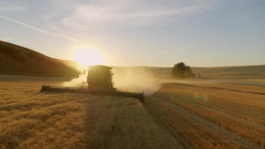 A farmer is almost finished harvesting a field of wheat as the sun starts to set behind rolling hills