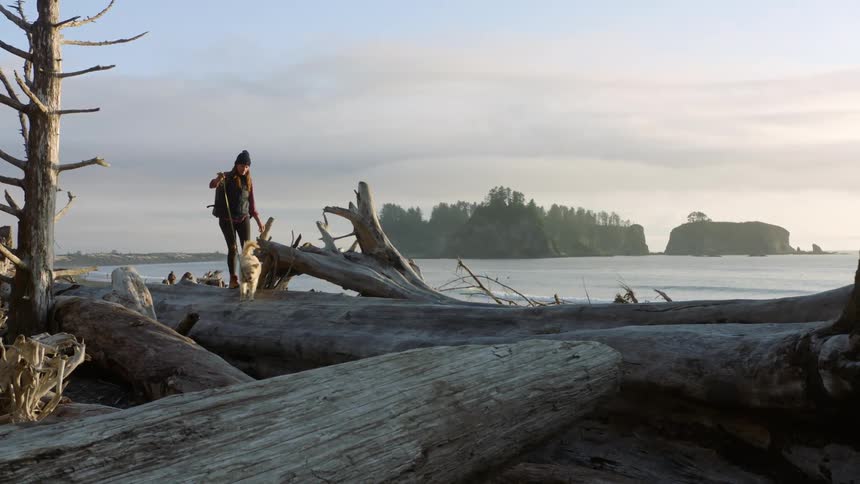 A woman walks a dog across a fallen tree on the beach during the day