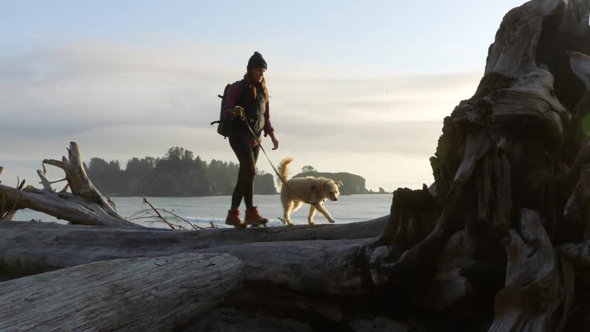 A woman walks her large white dog along a fallen tree trunk next to a lake
