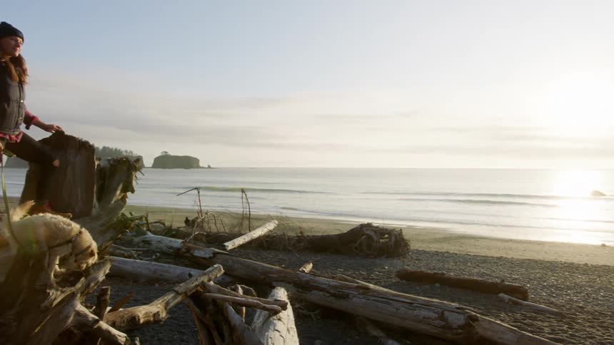 A woman stands on driftwood on a beach with her dog at sunset