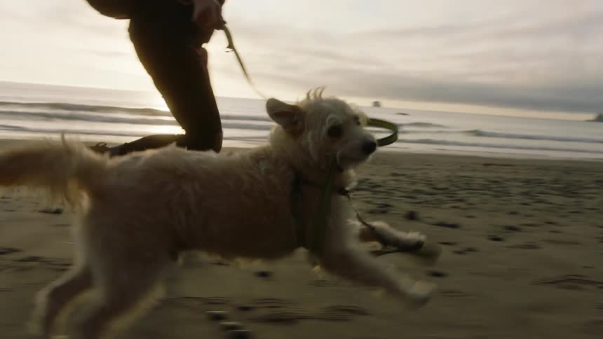 A woman runs along a beach with a dog on a cloudy day