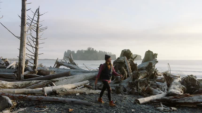 A man walks along a shoreline over fallen trees against an overcast sky in cold weather