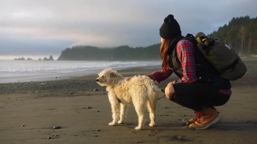 A woman is petting her dog at the beach