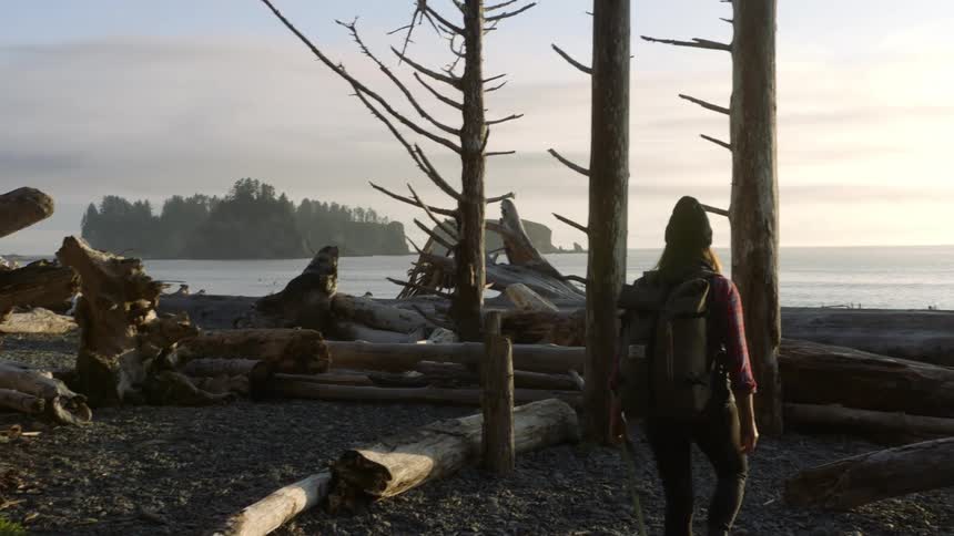 Young woman wearing a backpack hiking with her pet dog through the dead trees on the coast