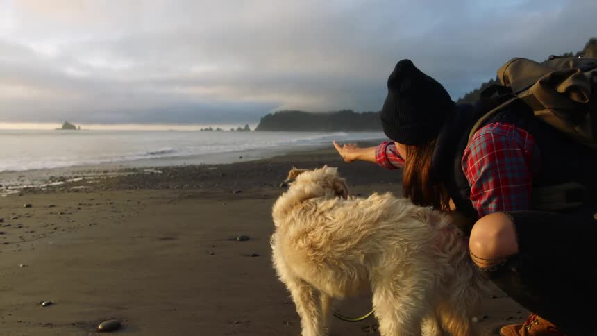 A woman kneels down on the beach beside her dog and points out to the ocean water