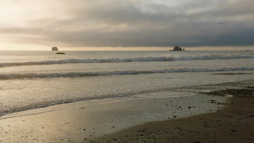 Waves roll into the beach at dusk as a bird flies by