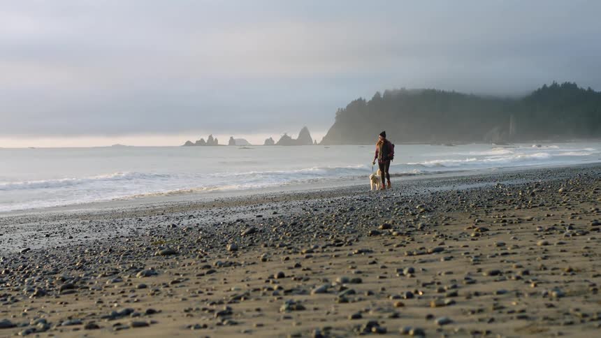 Woman with black beanie and brown hair walks a white dog on the pebble beach