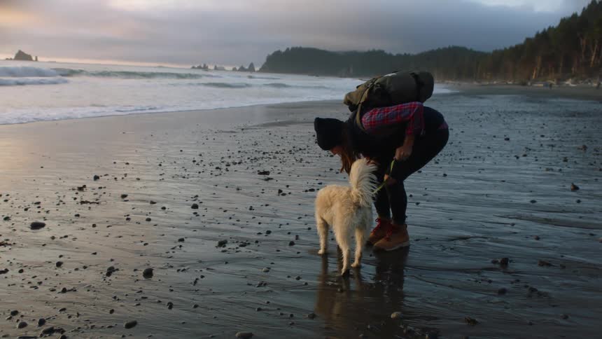 A woman stops to pick up a seashell while walking her white dog on the beach