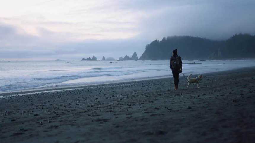 A person walking a leashed dog on a sandy beach on a chilly day