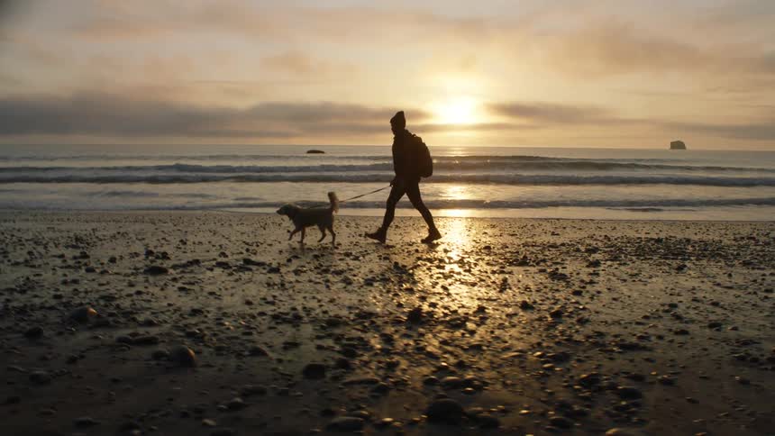 A silhouetted person walking a dog on a sandy beach at sunset