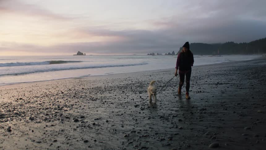 A woman wearing a hooded sweatshirt walks her dog on the beach away from the ocean water